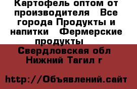 Картофель оптом от производителя - Все города Продукты и напитки » Фермерские продукты   . Свердловская обл.,Нижний Тагил г.